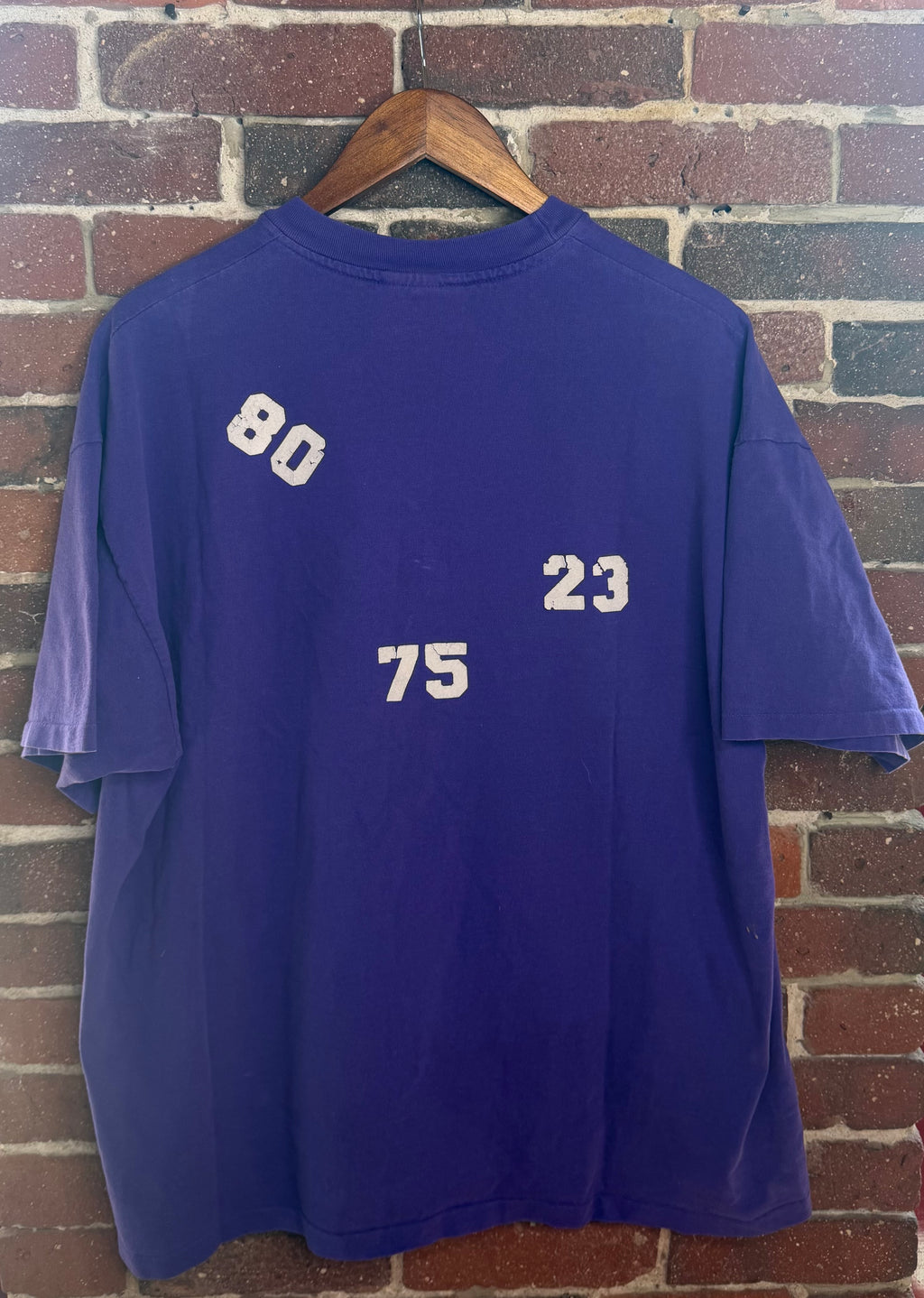 Vintage 1990 Minnesota Vikings Graphic Tee